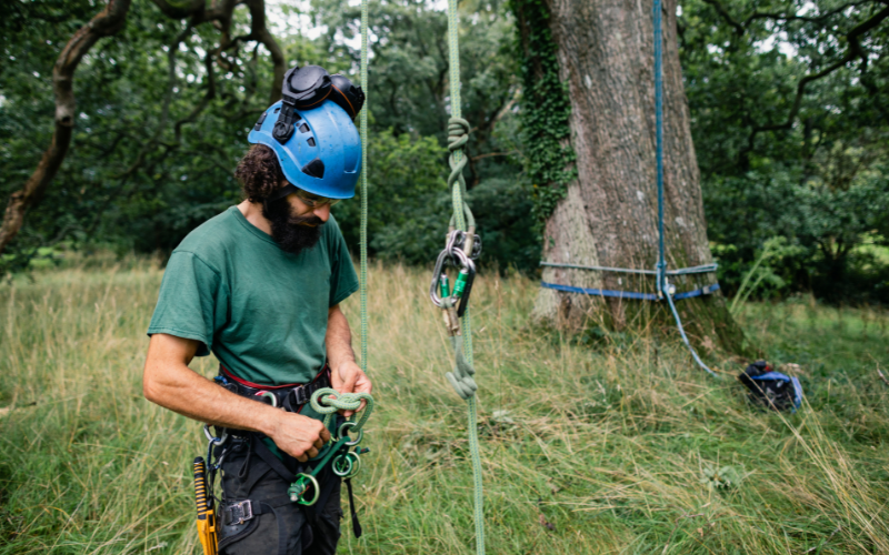 Comment choisir son harnais d'élagage d'arbre