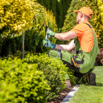 Entretien jardin Lyon