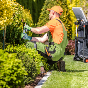 differences jardinier paysagiste